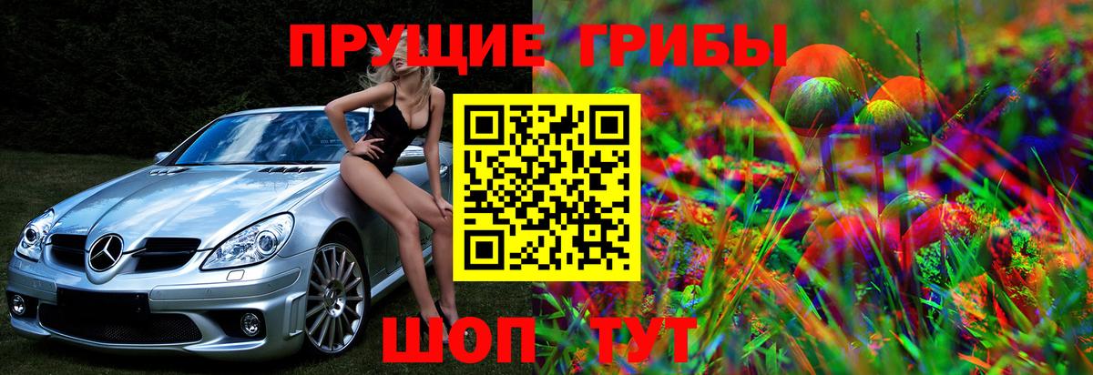 Псилоцибиновые грибы прущие грибы  Вход с VPN  Тобольск  Галлюциногенные грибы Psilocybine cubensis 